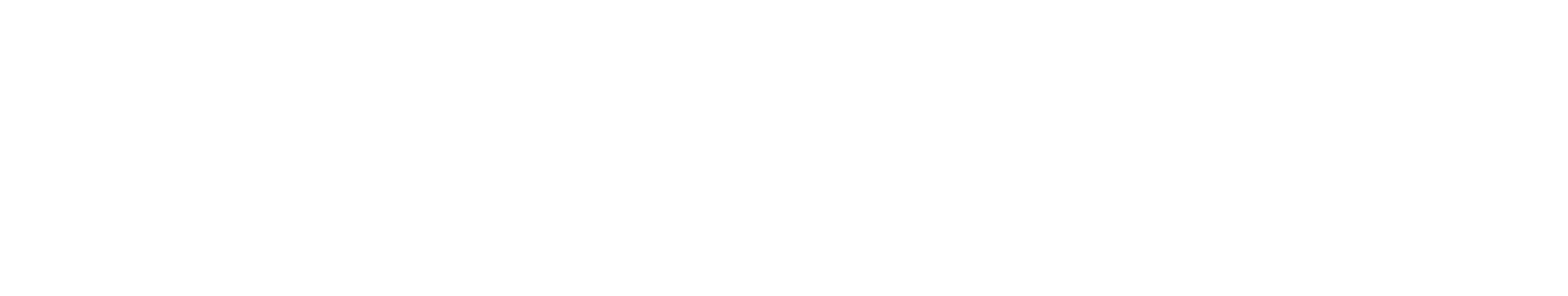 Trimasur Logo